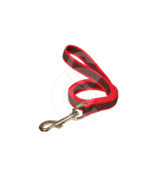 Laisse Difac Color Gomme