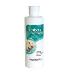 Pulvex Shampoing Insecticide