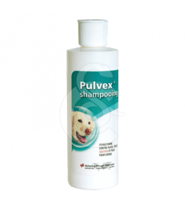 Pulvex Shampoing Insecticide