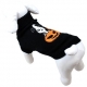 Pull Halloween pour chien