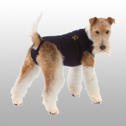 MEDICAL PET SHIRT CHIEN