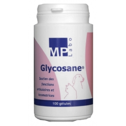 GLYCOSANE - 100 GELULES